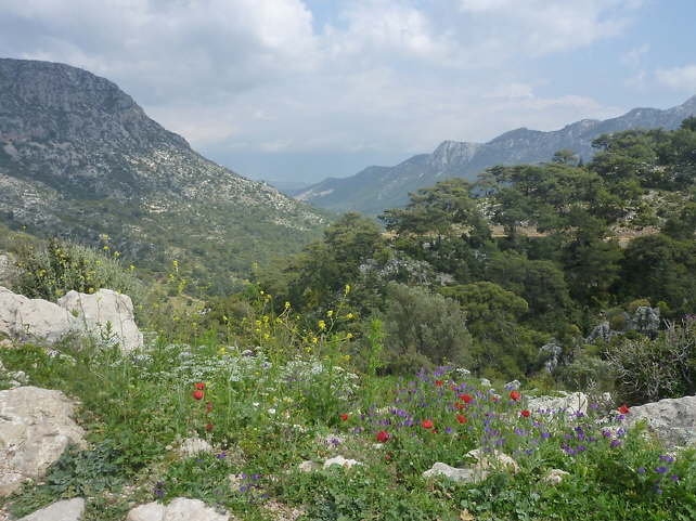 kabak-tal